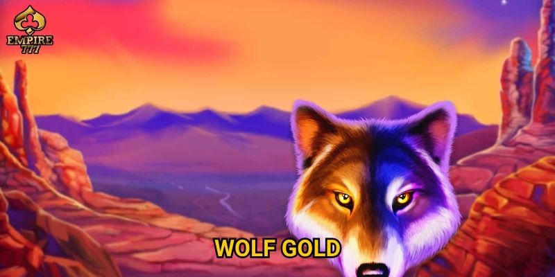 Wolf Gold tại Empire777 có thực sự đáng thử? 1 Wolf Gold tại Empire777 có thực sự đáng thử?